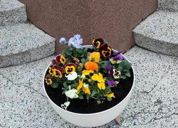 491262578_1141029291158190_4455525488501069059_n