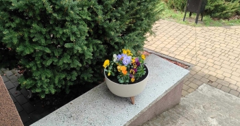 491760274_1141028324491620_2932004192341000918_n