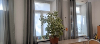 492216445_1145743897353396_456843820662589282_n