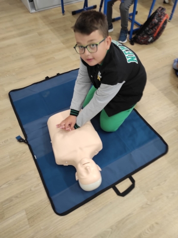 495377539_1155450896382696_5254323065966540128_n