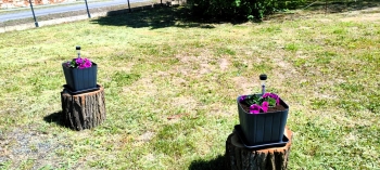 493279203_1159191759341943_4935458203203526466_n