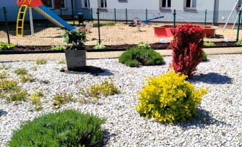 495609902_1159190532675399_8145606391645697028_n