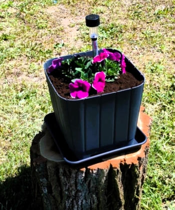 497792404_1159191692675283_4923919317897146478_n