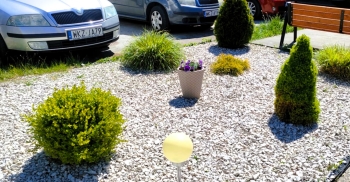 497720101_1159189499342169_6959114717391297529_n