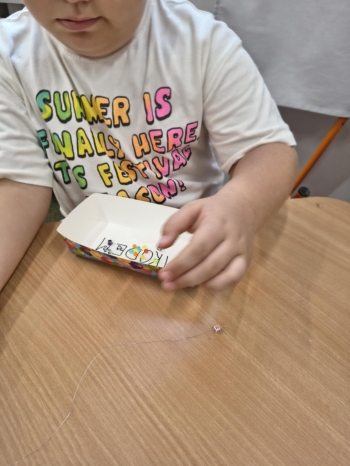 549042385_1258355939425524_5849424923562373127_n