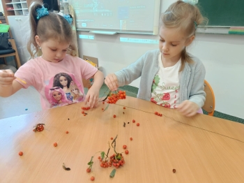 549944558_1258356799425438_9037673126169438914_n