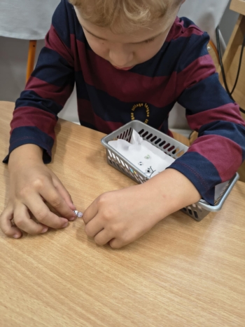 550253701_1258356072758844_4517201634300911934_n