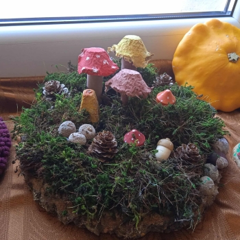 550233485_1260902775837507_1894747315684790456_n