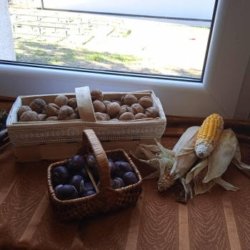 550407468_1260902829170835_686543429799034039_n