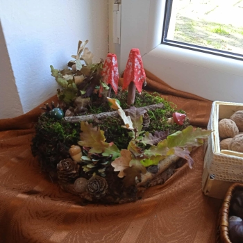 552188230_1260902795837505_3264963327903793923_n