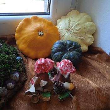 553222006_1260902732504178_8219396489229288729_n