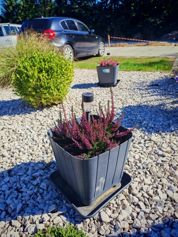 554742862_1264086442185807_9200611490964108914_n