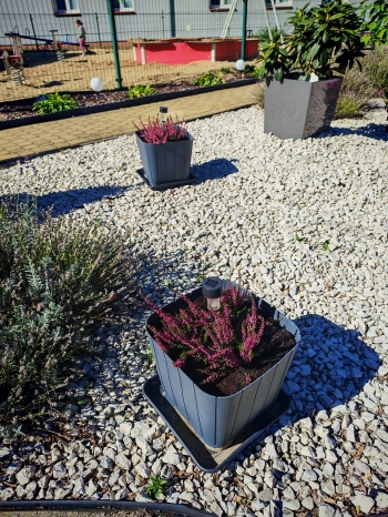 554579055_1264086508852467_8625351910056843947_n