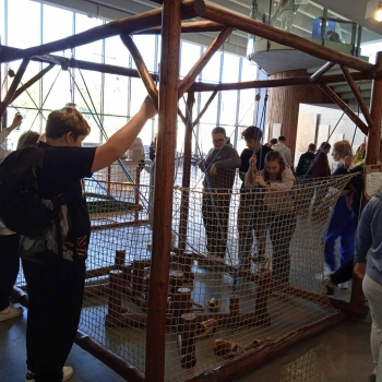 557973710_1270258001568651_2116305259170702166_n