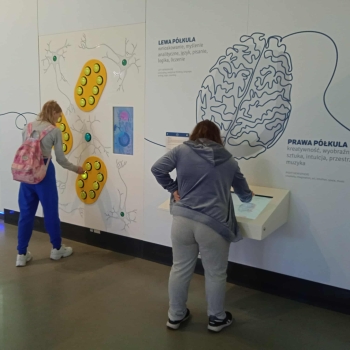 558093718_1270260464901738_7727059946727799234_n