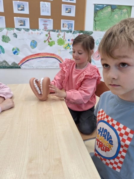 Nowe pomoce dydaktyczne