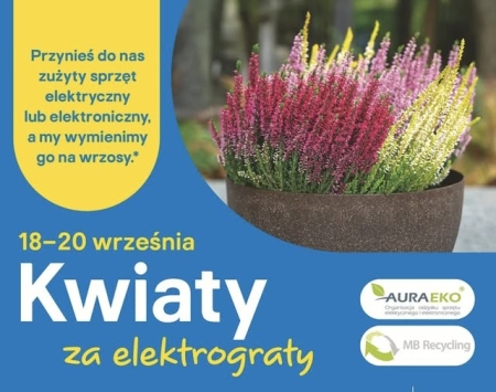 Akcja „Kwiaty za elektrograty”