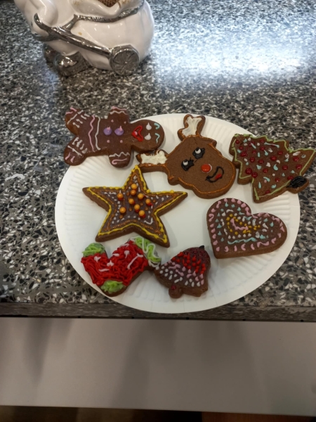 Świąteczne podarunki do Domu Pomocy Społecznej w Gródku